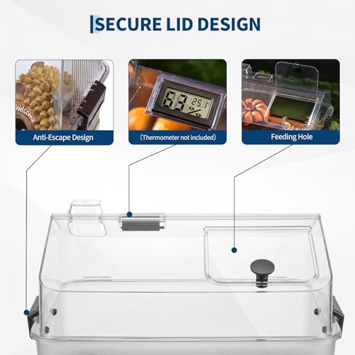 Garvee Reptile Tank Starter Kit, Reptile Terrarium with Lid, Heating Pad, Hygrometer, Bowl,Hide, Sand, Acrylic Small Reptile Habitat for Reptiles, Tarantula, Lizards, Frogs, Geckos or Hermit Crabs