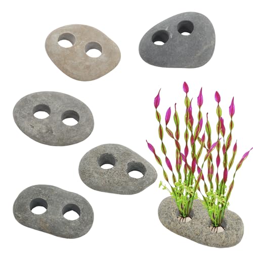 6PCS Aquarium Plant Weights, Live Rocks, Plant Weights for Fish Tank, Unique Shape and Size, Suitable for Decorating Fish Tanks, 0.91" 2Holes - size: Two Holes