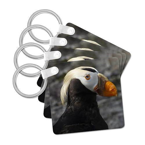 3dRose, Tufted Puffin bird, Aquarium, Newport, Oregon, USA - US38 RBR0514 - Rick A Brown, Key Chain - size: set of 2 Key Chains