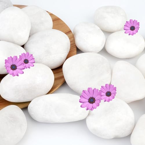 3lb White River Rocks for Plants Indoor, 2-3Inch White Pebbles for Vases Fillers, Decorative Gravel for Fish Tank, Natural Polished Stones for Succulent, Bonsai, Landscaping, Bird Baths - color: White, size: 2-3"-3lb