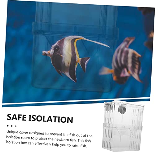 Healifty 2Pcs Large Fish Breeding Box with Suction Cups Aquarium Acclimation Case Fish Tank Hatching Incubator for Separating Aggressive Injured Random Color