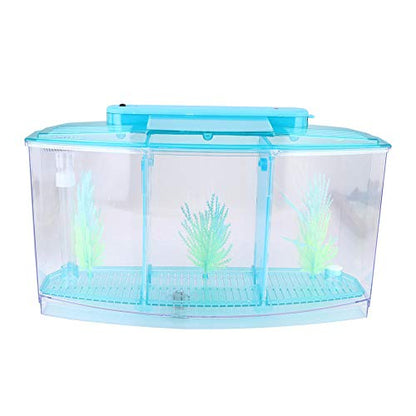 Small Fish Isolation Fish Tank, LED Acrylic Aquarium Fish Tank, Transparent Fish Isolation Box with 2 Isolation Plates for Small Fishes Betta Shrimp Guppy (Blue)