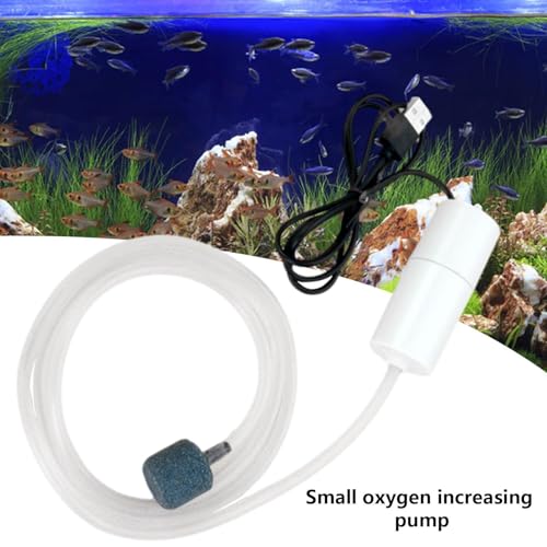 5V Water Pump | Mute Aquarium Pump with Uniform Air Bubble - 5V USB Water Small Oxygenator for Small Fish Farming Fish Tank - color: White