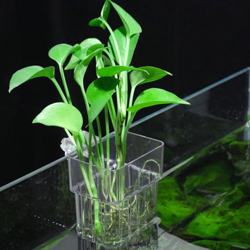 Aquarium Plant Holder,2Pack Transparent Hanging Pot for Fish Tank Aquatic Plant Cultivation and Aquascape Decorations Planter Cups with Hook and Screws