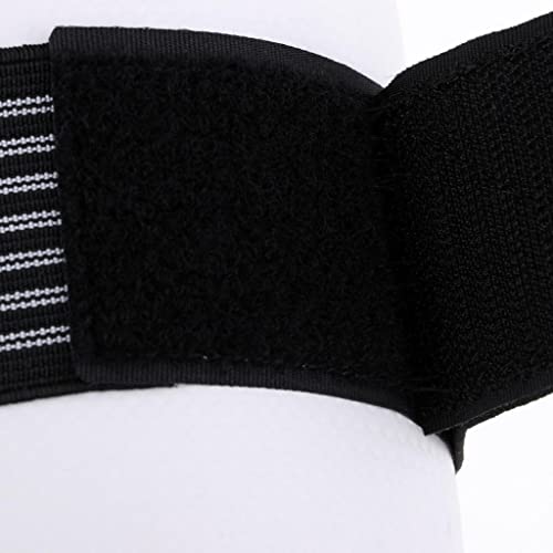 Taekwondo Elbow Forearm Guard Protector Pad for Martial Arts Kickboxing MMA Combat Sports Training Protective Gear