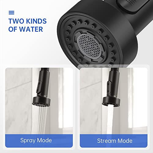 Black Nickel Kitchen Faucet with Pull Down Sprayer, Stainless Steel Spring Commercial Kitchen Sink Faucet with 10-Inch Deck,1 or 3 Hole Installation for Farmhouse, RV Camper, Laundry & Utility Sink