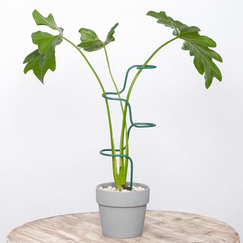 Set of 3 Sturdy Metal Plant Support Stakes for Indoor & Outdoor Use - Garden Trellis for Hydrangeas, Monstera, Flowers, Herbs, and Seedlings - Ideal for Small to Medium Plants - color: Green