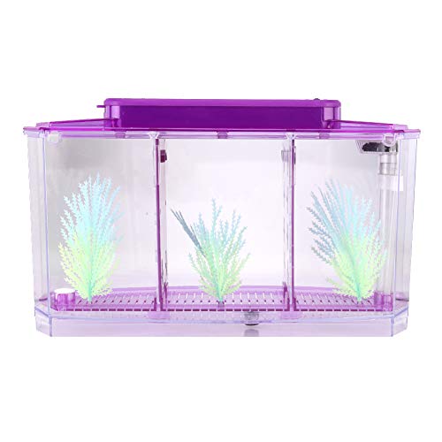 Small Fish Isolation Fish Tank, LED Acrylic Aquarium Fish Tank, Transparent Fish Isolation Box with 2 Isolation Plates for Small Fishes Betta Shrimp Guppy (Lightpurple)