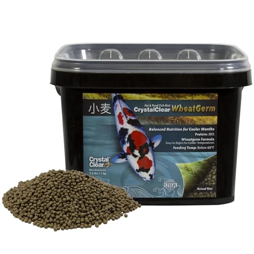 CrystalClear WheatGerm Fish Food—Protein-Rich Floating Pellets for Cold Freshwater Ponds, Ideal in Cooler Spring & Fall Seasons - 2.2 Pound Bucket