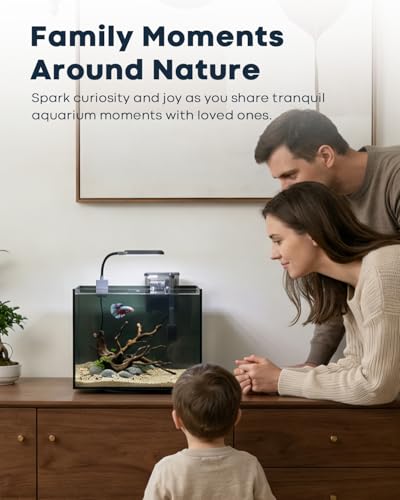 3 Gallon Aquarium Set Small Fish Tank Glass, Starter Kit with Heater Water Pump Cleaning Filter Bright Light Rocks Gravel Cleaning Tool, Leak-Proof Clear Rimless Desktop Spaces Saving Betta Fish - size: 3 gallon