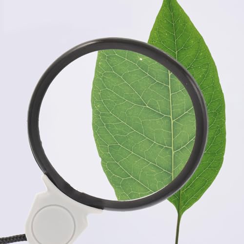 2pcs Portable Neck Hanging Magnifying Glass for Coins Maps and Jewelry Lightweight Design Enhanced Clarity for Prints and Detailed Observations