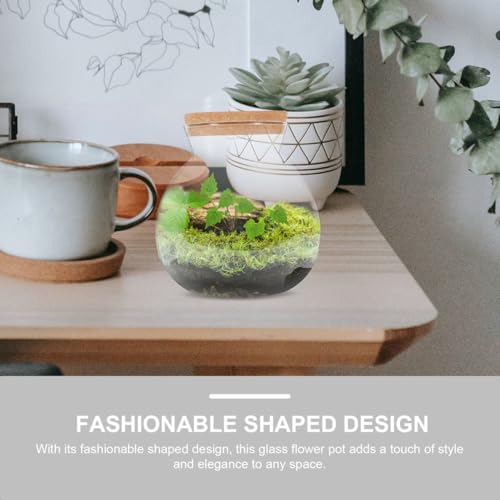 Led Light Bottle 6.29X5.90X5.90 Inch Glass Micro Aquarium Fish Tank DIY Micro Landscape for Home Office Decoration