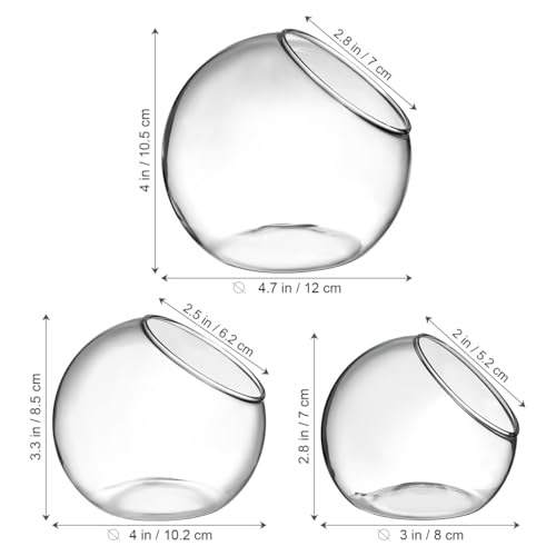 ibasenice 3Pcs Glass Terrarium Bowls Air Plant Holders Hydroponic Planters Small Round Vases for Home Office Desktop Display