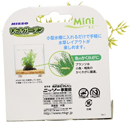 Nissau Little Garden Mini5