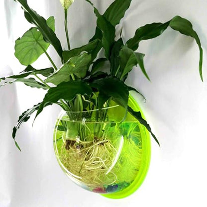 Wall Fish Bowl Wall Fish Bubble Hanging Clear Acrylic Betta Fish for Tank Wall Mounted Aquarium Wall Plant Planter Aquariums Tanks