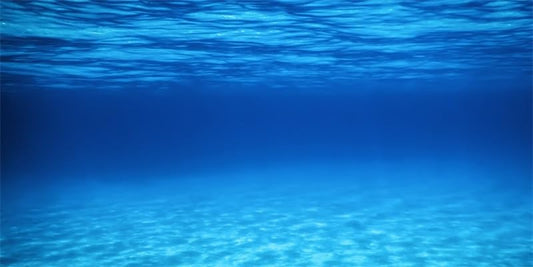 60x24inches Aquarium Background Blue Ocean Under The Sea Scene Backdrop Terrarium Background Fish Tank Decoration Vinyl Background