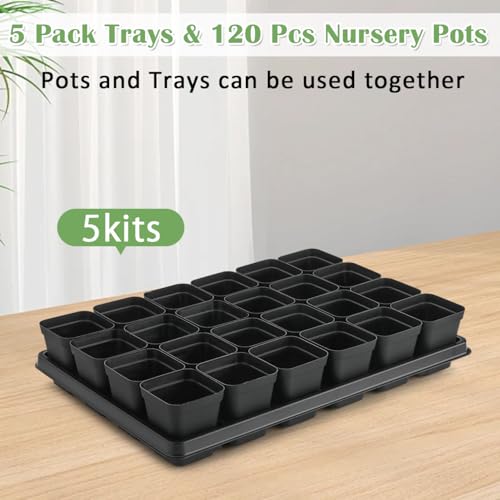 RooTrimmer 5 Pack 24 Cell Nursery Pots Trays with 2.8 inch (7CM) Square Nursery Pots 120pcs (Black), Plastic Seed Starter Tray with Drain Holes for Carrying and Holding Plant Pot(17"x11"x1.6") - color: Black, size: Pots 120 Pcs with 5 Pack Trays