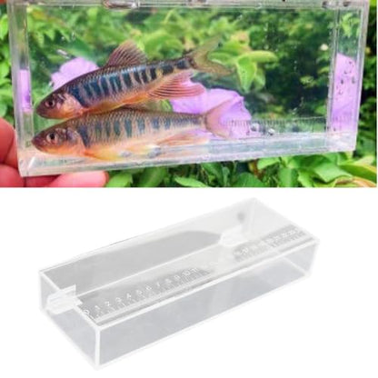 Fishing Photo Tank Acrylic Aquarium Transparent Hatching Incubator Case Fish Isolation Box S or L Size- 25x4.4x9cm
