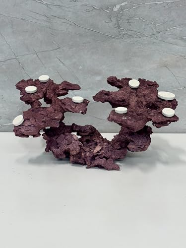 Coral Plug Holder, Natural Rock Frag Coral Growth (Purple, Medium) - color: Purple, size: Medium