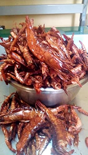 Colour Flavour Dried Red Shrimps (Oporo) 100g | Premium Nigerian Dried Seafood | Natural Smoked Red Prawns for Cooking & Seasoning | High-Protein, Rich Shrimp Flavor