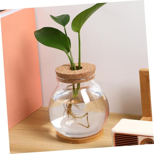 Toddmomy Transparent Glass Fish Tank with Lid for Betta Fish Compact Hydroponic Mini Aquarium for Desktop Office Decor with Mat View Design