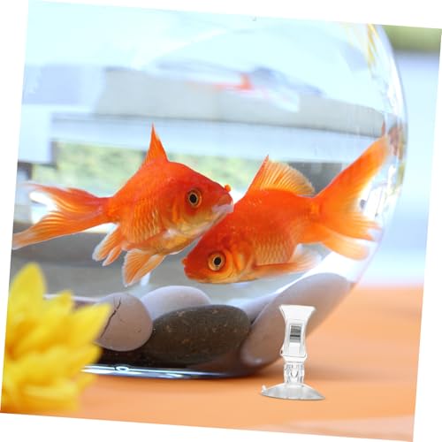 Garneck Aquarium Fodder Clamps 5pcs Easy Install/uninstall Fish Tank Feeder Clips Suction Cups