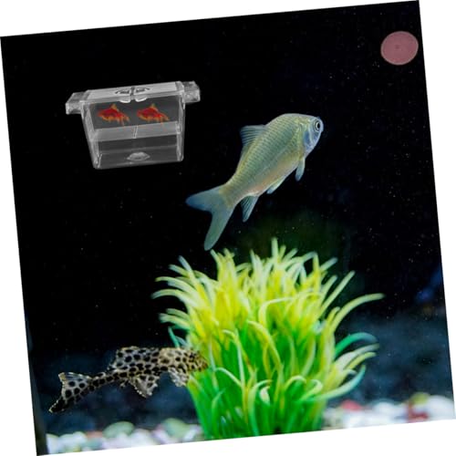 Hemoton 4pcs Floating Betta Fish Incubator Box Separator Breeder Box for Fish Tank Fry Breeding Case for Aquarium