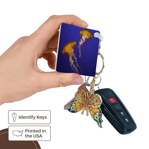 3dRose, California, Sea nettles at Monterey Bay Aquarium - US05 BJA0126 - Jaynes Gallery, Key Chain - size: set of 6 Key Chains