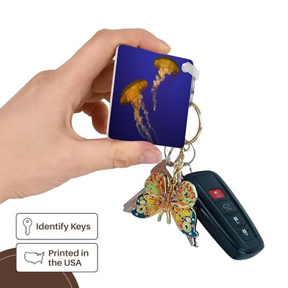 3dRose, California, Sea nettles at Monterey Bay Aquarium - US05 BJA0126 - Jaynes Gallery, Key Chain - size: set of 4 Key Chains