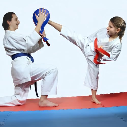 Taekwondo Kick Pads, Durable Upgraded Leather, Taekwondo Training Equipment - color: BLUE