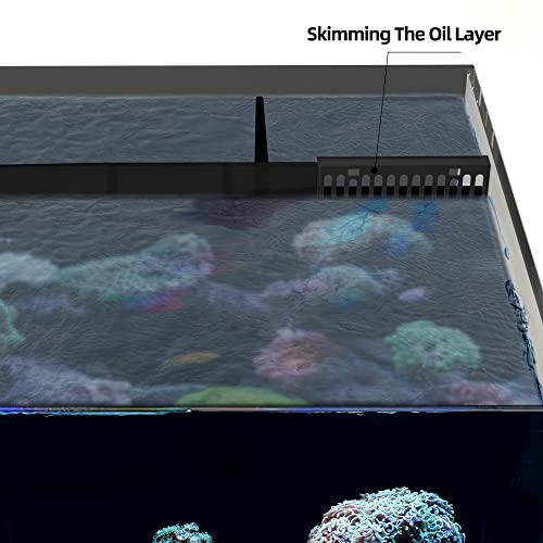 60P 26.23 Gallon Ultra Clear All Glass Rimless Low Iron Aquarium Tank with Rear Filtration Chamber for Salt and Fresh (Return Pump Included) 23.6Wx17.7Dx15.8H in(60x45x40cm) 8mm Thickness
