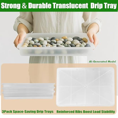 3 Pack Plastic Bonsai Humidity Trays, Rectangle Plant Growing Saucer Water Catcher Drip Tray, Seed Starter Drainage Tray Transparent (11.5x8.3 Inch)