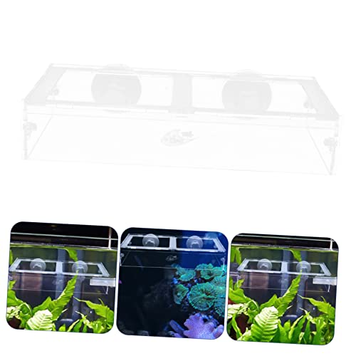 Happyyami 1pc Fish Tank Feeding Ring Aquarium Feeding Tool Aquarium Food Container Worm Feeder for Aquarium Automatic Fish Feeders Fish Tank Feeder Feeding Circle Sucker Fish Food Acrylic