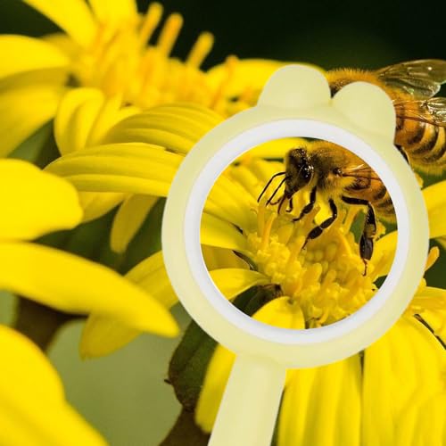 Rongon Magnifying Glass 4Pcs Handheld Shatterproof 4X Reading Magnifier 60mm Magnify Glasses Lens for Reading Exploration Party Favors - color: 4 Colours