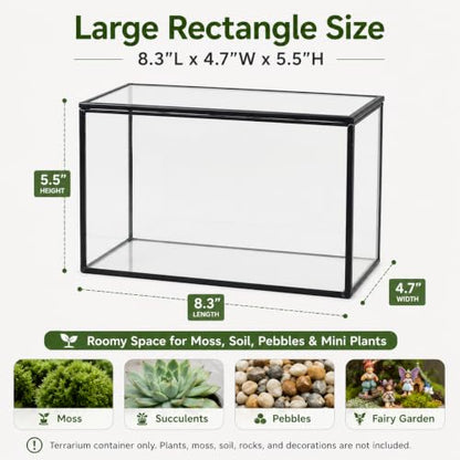 Glass Plant Terrarium with Lid, Rectangular Black Metal Frame Box for Indoor Plants, Clear Glass Container for Moss, Succulent, Fairy Garden, Tabletop Decor DIY Gift, 8.3”L x 4.7”W x 5.5”H