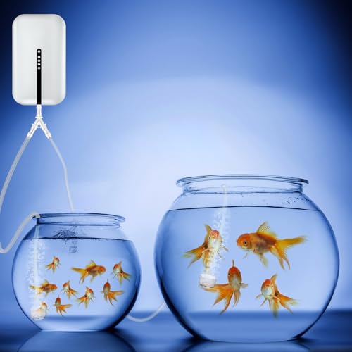 4 Pcs Aquarium Air Pump Connectors Y-Shaped Aquarium Air Valve 3 Way Airline Tubing Connector Plastic Barb Equal Y Tee 1/4'' Hose Connectors Anti-Shedding Fish Tank Tube Adapters Splitter
