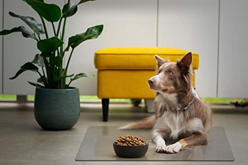 Clear Pet Bowl Mat, USA Made, Safe, Waterproof, 18 x 24 Inch, 2mm Thick Smooth Vinyl, Floor Protection, Dog Cage Mat, Under Aquarium Mat