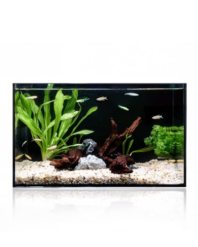 5 Gallon Clear Glass Fish Tank, Easy to Maintain Small Aquariumfor Betta, Goldfish, Snail,Shrimp and Aquatic Planting - color: Black, size: 5 Gallon