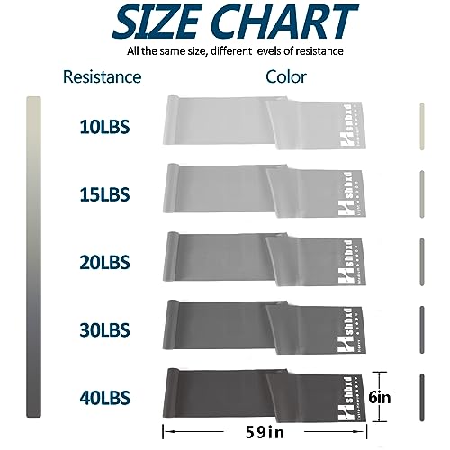 Resistance Bands Set for Physical Therapy, Rehab, Yoga and Pilates - color: Gradient Gray 10-115lbs - Includes Accessories