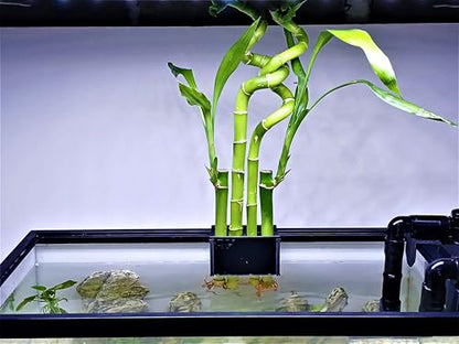 Aquarium Plant Holder for Rimmed and Rimless Tanks, PLA+ Plastic, Fish-Safe, Accessory