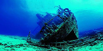 Large Shipwreck Aquarium Background Poster HD Fish Tank Ornament Landscape (30" x 18"/ 76 x 46cm)