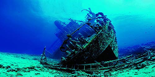Large Shipwreck Aquarium Background Poster HD Fish Tank Ornament Landscape (30" x 18"/ 76 x 46cm)
