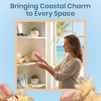 Conch Shell Decor - Seashell Decor - 6-8" Large Sea Shell - Shells for Decoration - Large Seashells for Crafts - Magic Conch Shell Room Decor