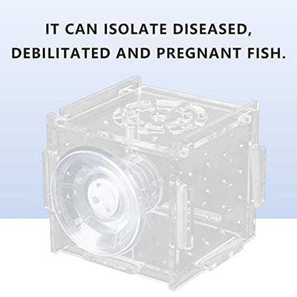 MAVIS LAVEN Fish Isolation Box, Acrylic Breeding Hatchery with Feeding Hole, 1.5mm Openings for Baby Fish and Shrimp, Easy Mounting for Aquariums (Single Grid mini 6 * 6*)