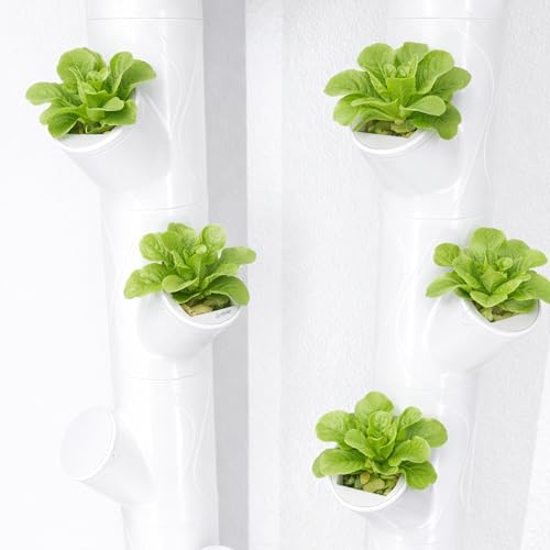 24 Pcs Grow Cubes for Hydroponic System, Grow Cube Hydroponic Cups Compatible with yCube, Reusable Hydroponic System Grow Cube for Indoor Graden Supplies