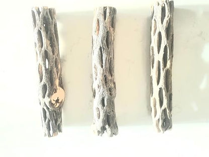 Hexagrowth Cholla Wood Shrimp Hideout, Habitat for Fish, Toy for Gecko, Hermit, Snake, Isopods, Millipedes, Beetle, Snail, Airplant Decor, Bird Perch, Untreated Size 6'' Long, 1'' Diameter (3 Pieces)