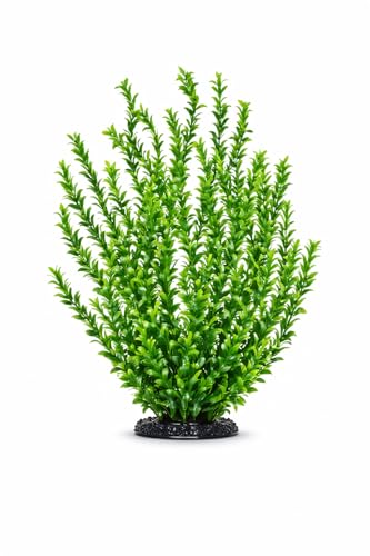 Aquatop PD-BH56 31 Inch Broad Leaf Dark Green Aquarium Plant with Weighted Base