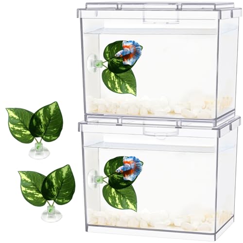 Mini Betta Fish Tank, Small Fish Bowl for Temporary Space, 0.2 Gallon Stackable Cube Tank with Betta Leaf and Gravels for Small Fish, Insect, Shrimp, Crab, Spider.(Pack-2)