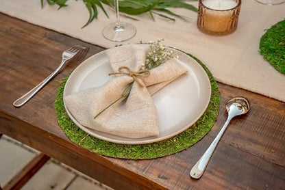 SuperMoss (26305) Moss Soil Topper | Preserved Green Mountain Moss with Mesh Backing | Indoor Plant Soil Cover for Flowerpots, Orchid Pots, Terrariums, and Craft Décor, 8” Set of 3, Green
