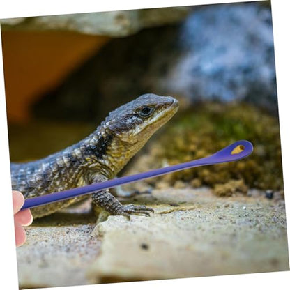 BESPORTBLE 2pcs Stainless Steel Reptile Food Spoon Pet Feeding Tool for Lizards Geckos and Small Animals Design Easy to Use and